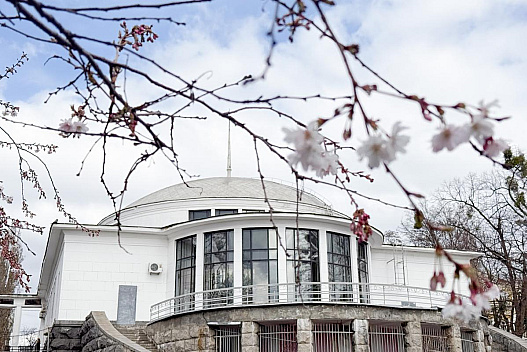 У Києві потеплішає аж до +18°: коли вдарить весняне тепло - we.ua