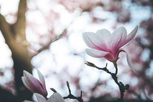 2 квітня погода в Україні покращиться - weua.dev