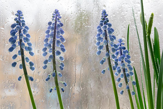 Синоптик розказав, яка погода буде в Україні у перші дні квітня - we.ua