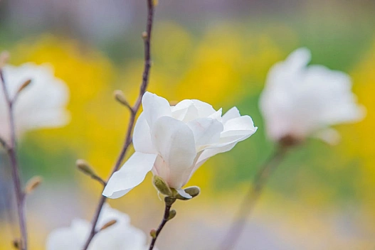 Синоптики прогнозують квітневі грози - циклон принесе теплу погоду з дощами - weua.social