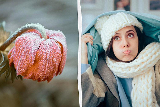 Квітень в Європі може виявитися найхолоднішим за багато років, - синоптики - weua.social