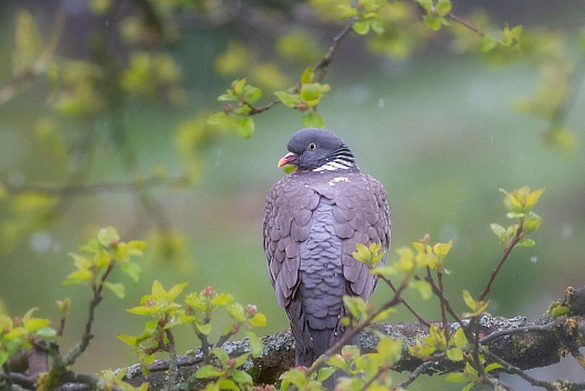 На вихідних погода покращиться по всій Україні - weua.dev