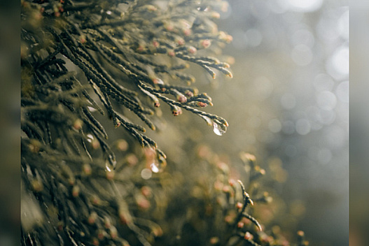 Тепло, але подекуди грози: синоптики обіцяють кілька днів комфортної погоди перед суттєвим похолоданням - weua.social