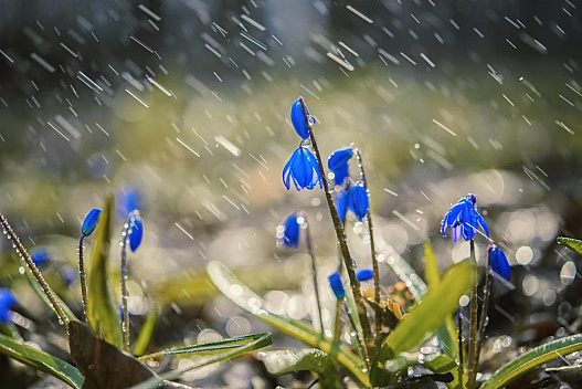 У понеділок Україну накриють дощі та шторм, - синоптикиня Діденко - weua.social