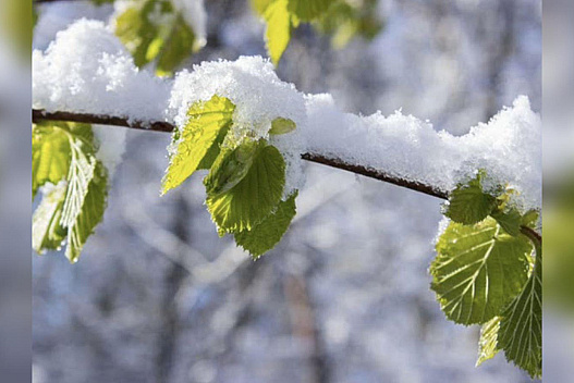 Морози та сніг повертаються: в Україну йде похолодання - weua.social