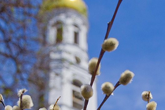 Вербна неділя порадує українців погодою: прогноз на 5 квітня - we.ua