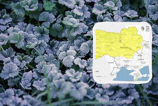 Небезпечні заморозки накриють Україну вже цієї ночі: температура впаде до -3° - we.ua