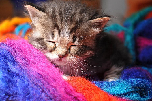 7 квітня в Україні різко похолоднішає: температура впаде по всій країні - weua.dev