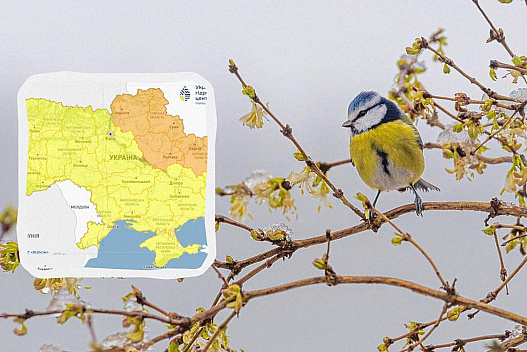 До -3° вже цієї ночі: де в Україні очікується найбільший холод - we.ua