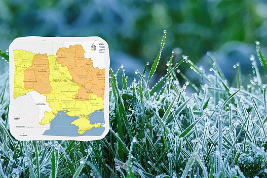 Заморозки скують усю Україну: синоптики оголосили ІІ рівень небезпеки - we.ua