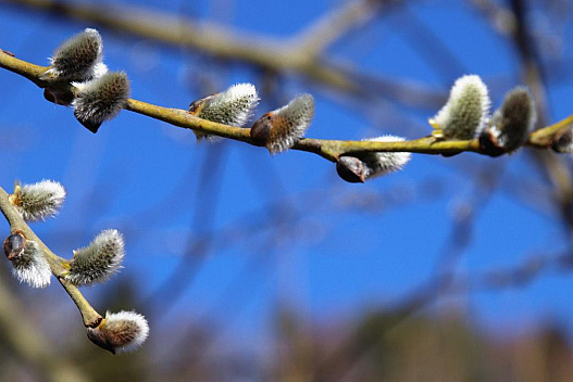 Синоптик розказав, коли погода в Україні покращиться - we.ua