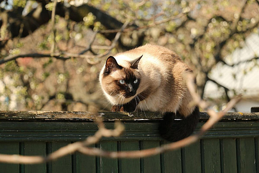 Напередодні вихідних погода в Україні нарешті почне покращуватися - we.ua