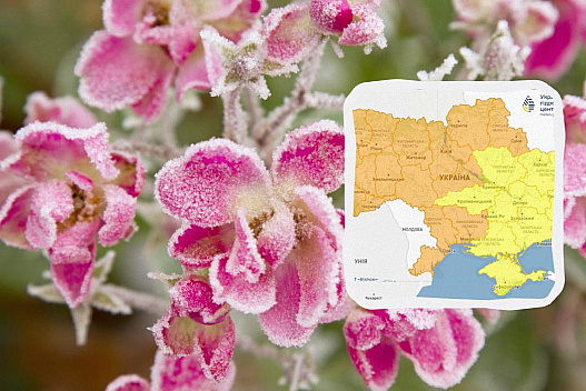 Заморозки атакують Україну ще не одну ніч: синоптики попереджають про небезпеку - we.ua