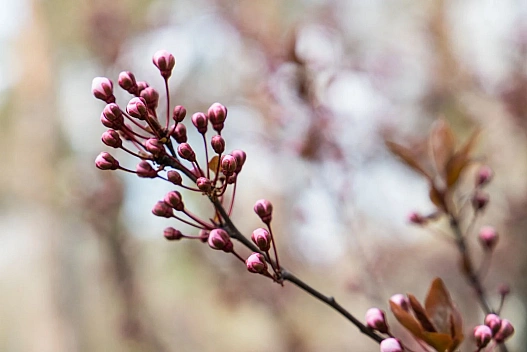 Циклон принесе похолодання та мокрий сніг - прогноз погоди на сьогодні - we.ua