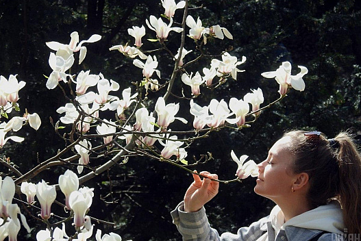 14 квітня в Україні потеплішає до +16° і більше - we.ua