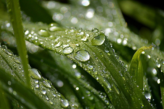 До +18°, але не скрізь: як зміниться погода в Україні цього тижня - we.ua