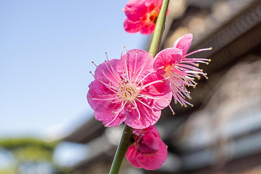 13 квітня погода в Україні нарешті почне покращуватися - we.ua