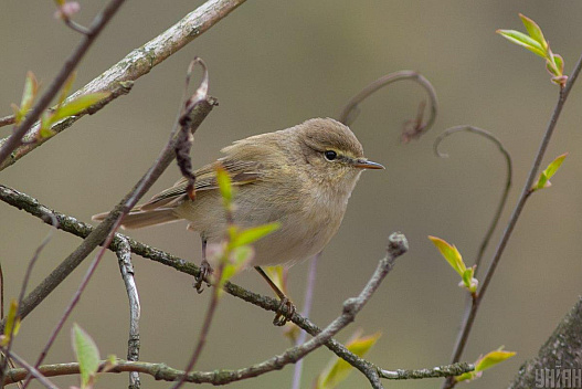 Суттєвого тепла поки чекати не варто: синоптик засмутив українців прогнозом - we.ua