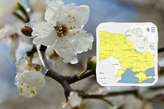 Небезпечні заморозки атакують Україну сьогодні вночі: яким областям приготуватись - we.ua