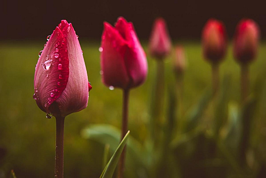 У четвер Україну розігріє до +18°, але частину країни накриють дощі - we.ua