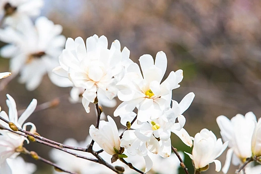Атмосферний фронт несе дощі - прогноз погоди на сьогодні - we.ua