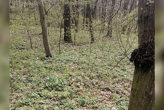 Задощить скрізь: прогноз погоди на вихідні 18 та 19 квітня - we.ua