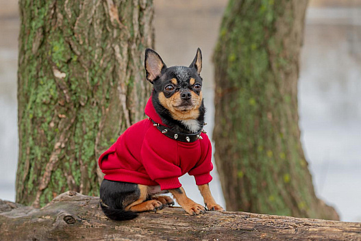 На вихідних частину України накриє похолодання - we.ua
