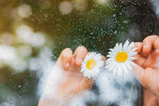 18 квітня в Україні стане свіжіше і пройдуть весняні дощики - we.ua