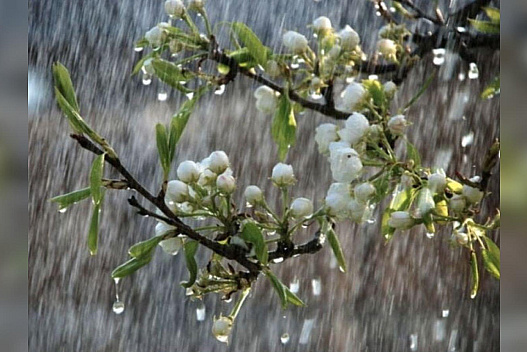 Поки тепла не чекайте: погоду в Україні визначатиме циклон — з мокрим снігом та температурою нижчою за норму - we.ua