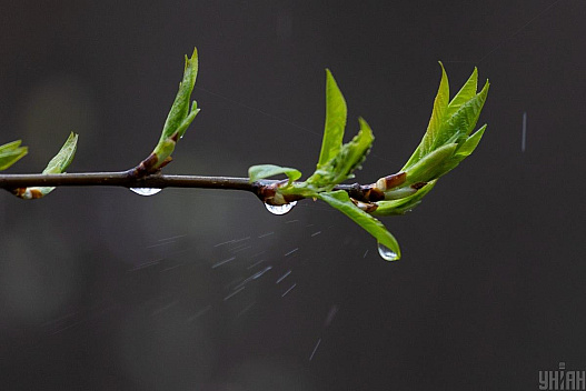 Тиждень в Україні розпочнеться з дощів та похолодання: де температура впаде нижче +10° - we.ua
