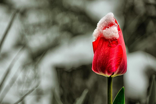 Дощі, мокриий сніг та вітер зіпсують погоду в Україні, - синоптик - we.ua