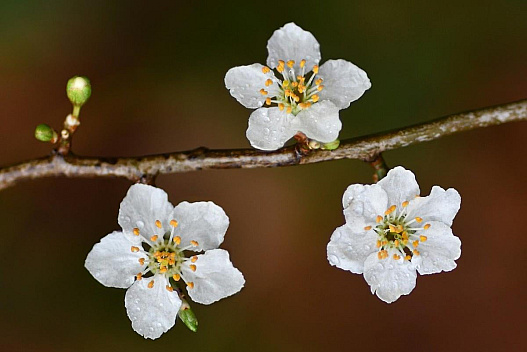 22 квітня погода в Україні покращиться, але ненадовго - we.ua