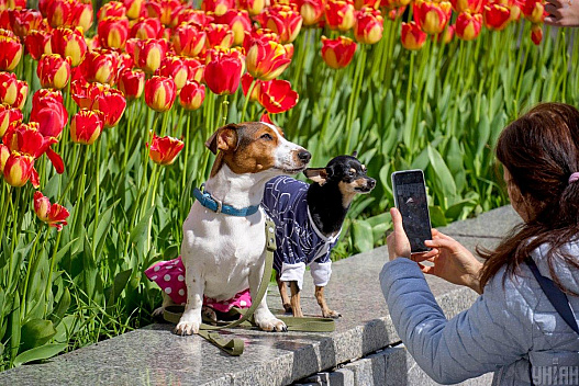 22 квітня в Києві буде найтепліший день тижня - we.ua