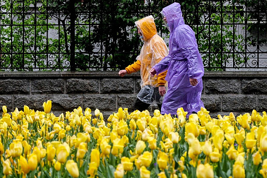 Завтра в Києві похолоднішає одразу на 5 градусів і піде дощ - we.ua