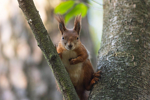 24 квітня дощів в Україні стане менше, але не потеплішає - we.ua