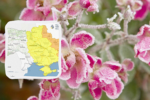 Заморозки атакують Україну сьогодні вночі: температура впаде до 