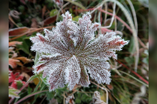 Тепла не чекайте — діставайте пуховики: в Україні різко зміниться погода - we.ua