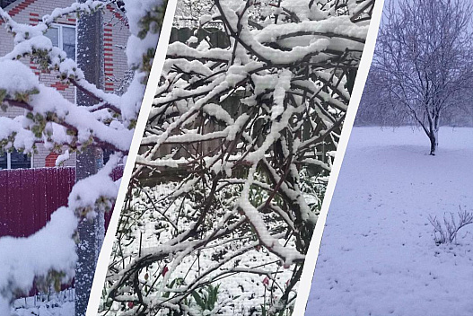 В Україні сніжить з новою силою: холод з півночі накрив країну - we.ua