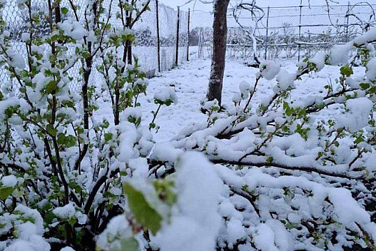 Україну накрив сніг у квітні: мешканці регіонів показали фото кучугур - we.ua