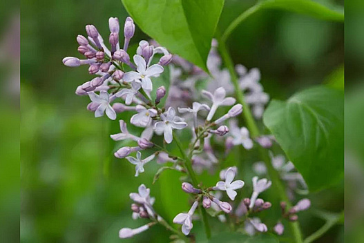 Від заморозків до +25: на вихідних на українців чекає контрастний погодний «душ» - we.ua