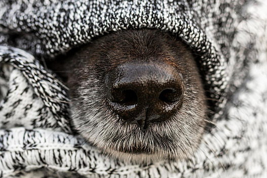 Температура в Одесі впаде на 10 градусів: названа дата сильного похолодання - we.ua