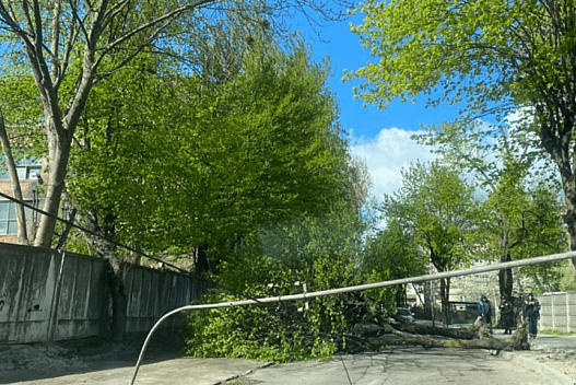 Негода накрила частину України: є пошкодження інфраструктури - we.ua