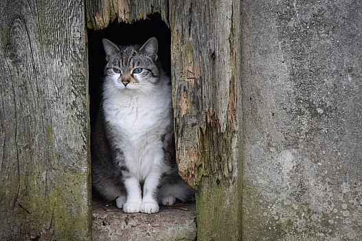 Тепла не чекайте: 28 квітня по всій Україні буде холодно - we.ua