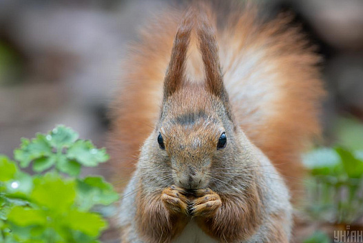 Травень в Україні буде холодніший, ніж зазвичай, - синоптики - we.ua