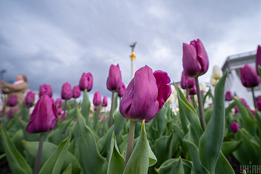 У Києві потеплішає до +15°: синоптики назвали точну дату - we.ua
