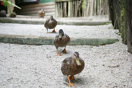 1 травня в Україні буде останній холодний день перед довгоочікуваним потеплінням - we.ua