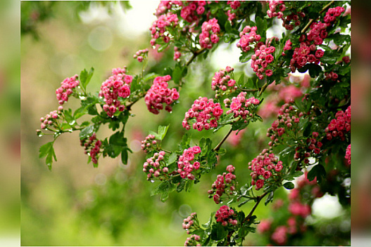 Коли до України прийде довгоочікуване потепління: синоптики порадували прогнозом - we.ua