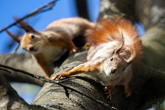 Майже літо: до України йде потепління до +24° - we.ua
