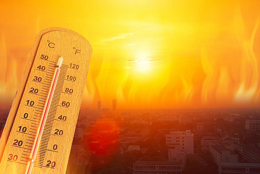 В Україні за добу зафіксували шість температурних рекордів: у які міста прийшла спека - we.ua