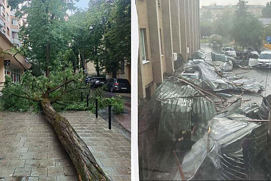 Повалені дерева та зірваний дах адміністрації: Львів накрила потужна гроза - we.ua